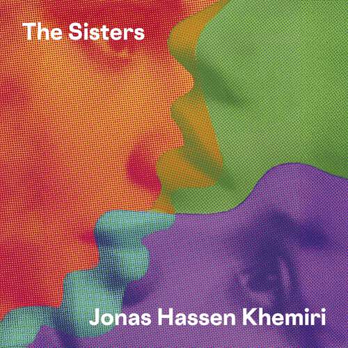 Book cover of The Sisters: 'The big baggy novel I’ve been waiting for – perfect for a summer holiday'  The Times
