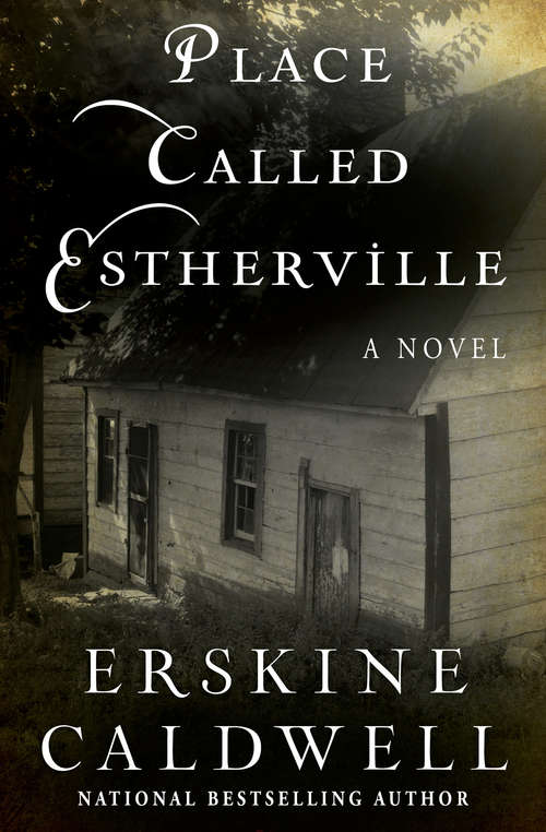 Book cover of Place Called Estherville
