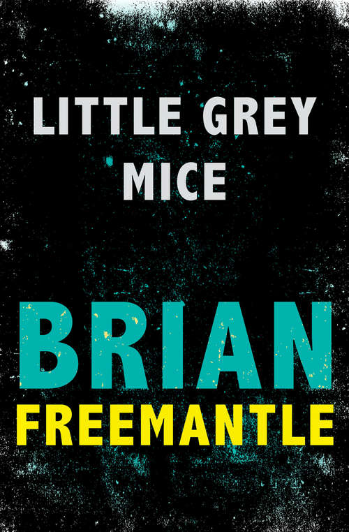 Book cover of Little Grey Mice