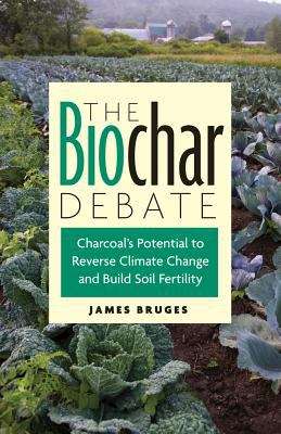 Book cover of The Biochar Debate