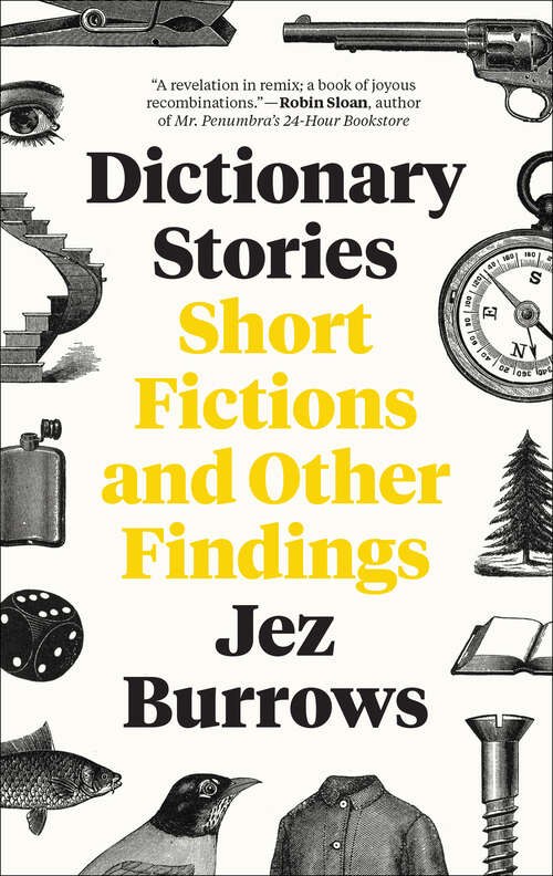 Book cover of Dictionary Stories: Short Fictions and Other Findings