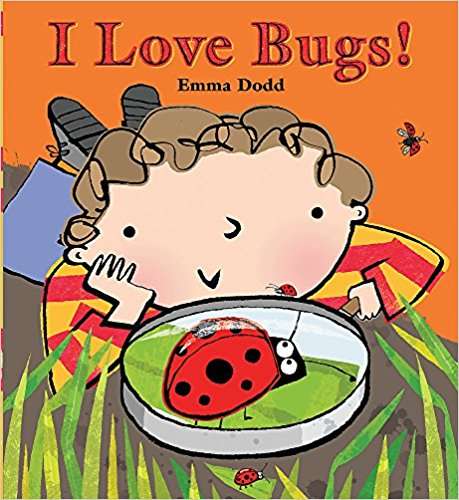 Book cover of I Love Bugs!