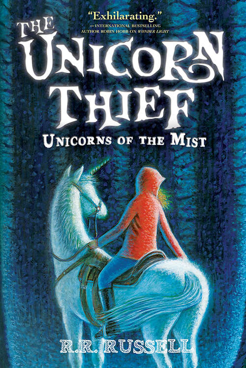 Book cover of The Unicorn Thief