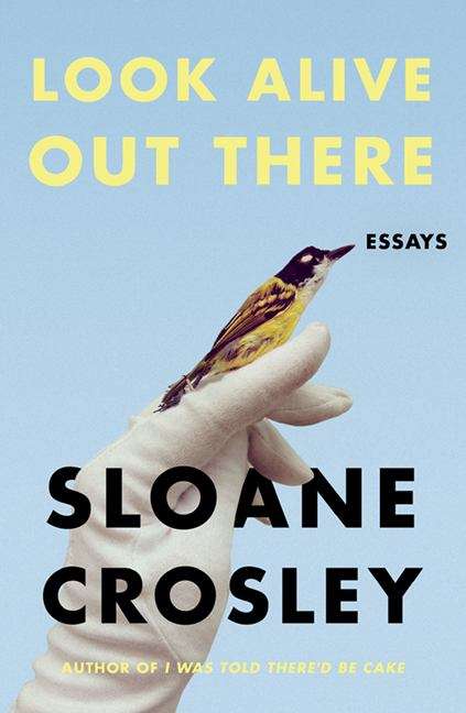Book cover of Look Alive Out There: Essays