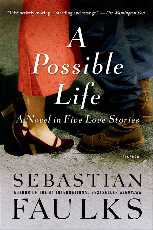 Book cover of A Possible Life: A Novel in Five Love Stories