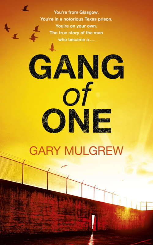 Book cover of Gang of One: One Man's Incredible Battle to Find his Missing Daughter