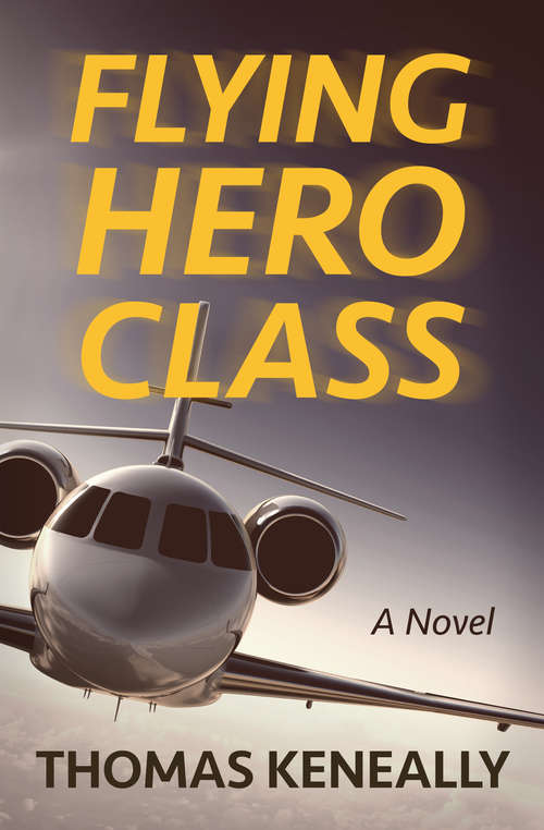 Book cover of Flying Hero Class: A Novel