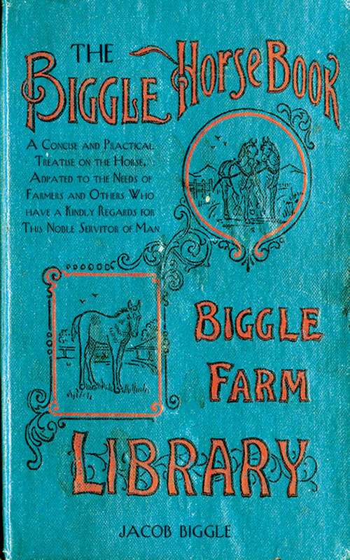 Book cover of The Biggle Horse Book