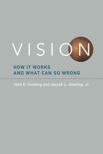 Book cover of Vision: How It Works and What Can Go Wrong