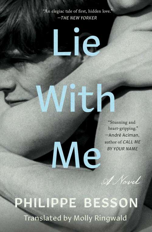 Book cover of Lie With Me: A Novel