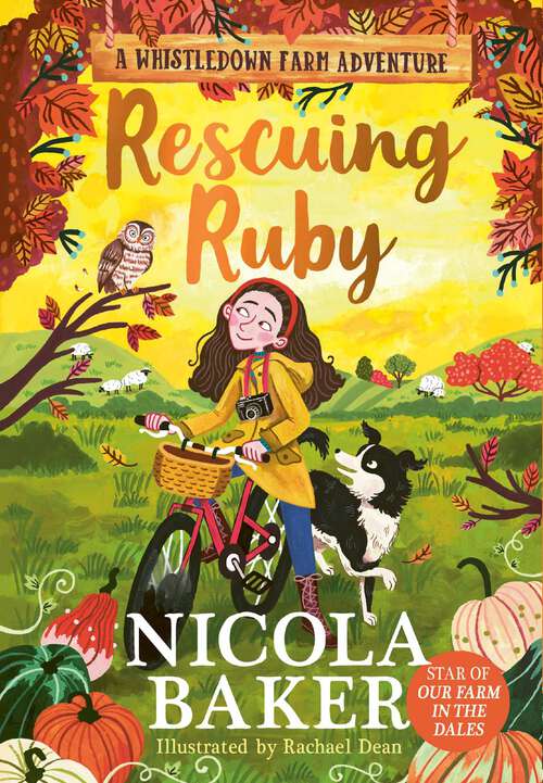 Book cover of Rescuing Ruby (A Whistledown Farm Adventure #2)