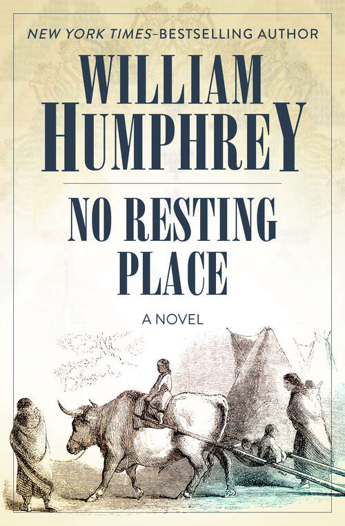 Book cover of No Resting Place