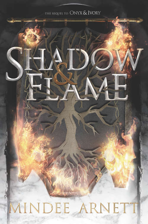 Book cover of Shadow & Flame