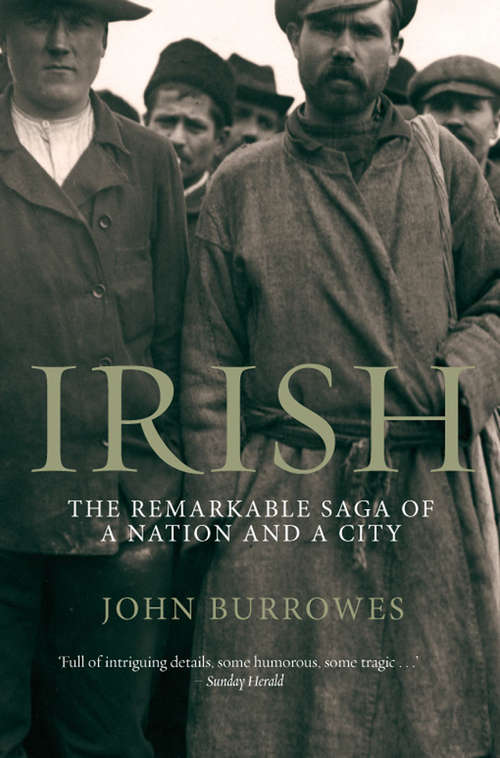 Book cover of Irish: The Remarkable Saga of a Nation and a City