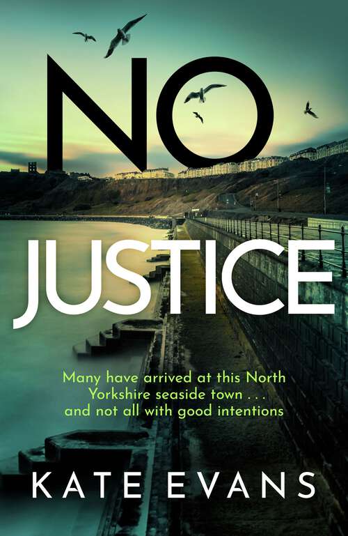 Book cover of No Justice (DC Donna Morris)