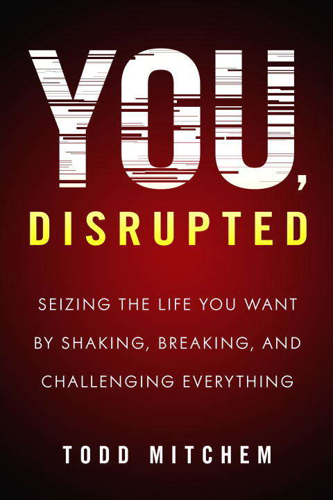 Book cover of You, Disrupted: Seizing the Life You Want by Shaking, Breaking, and Challenging Everything
