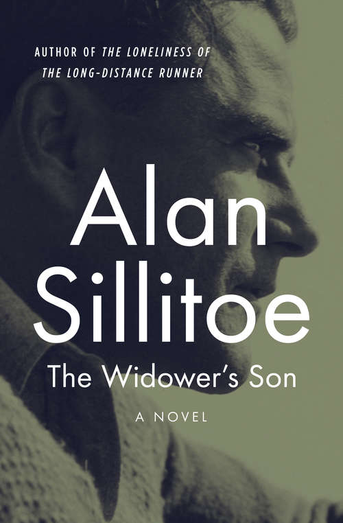 Book cover of The Widower's Son: A Novel