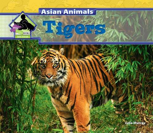 Book cover of Tigers (Asian Animals)
