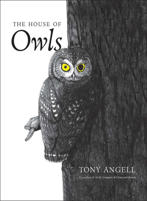 Book cover of The House of Owls