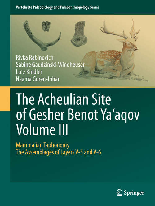 Book cover of The Acheulian Site of Gesher Benot  Ya‘aqov  Volume III