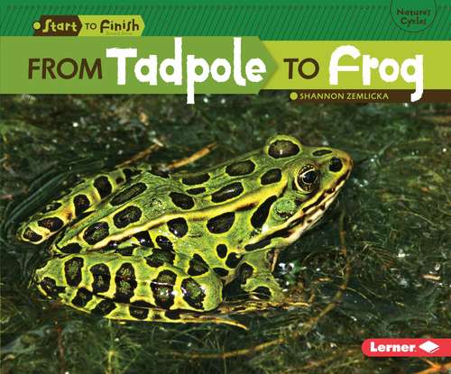 Book cover of From Tadpole to Frog (Start to Finish, Second Ser.)
