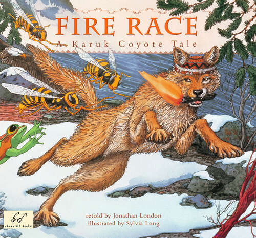 Book cover of Fire Race