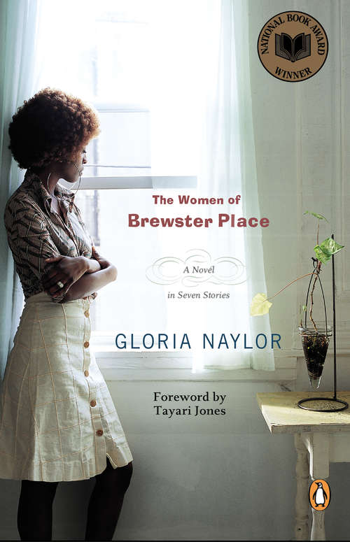 Book cover of The Women of Brewster Place