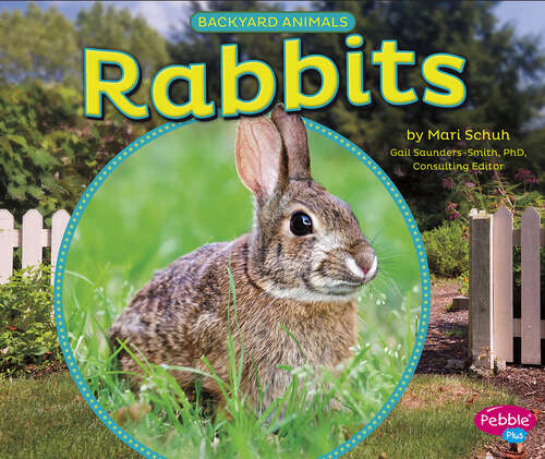 Book cover of Rabbits