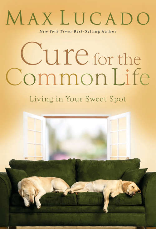 Book cover of Cure for the Common Life