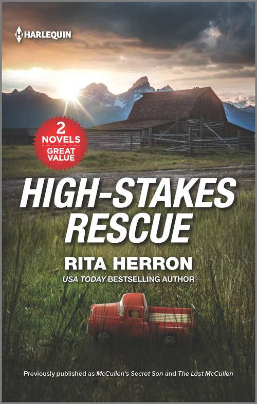 Book cover of High-Stakes Rescue (Original)