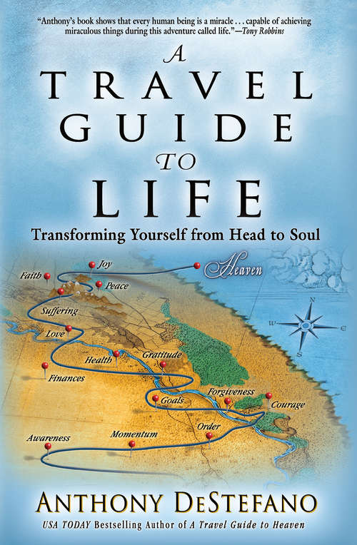 Book cover of A Travel Guide to Life