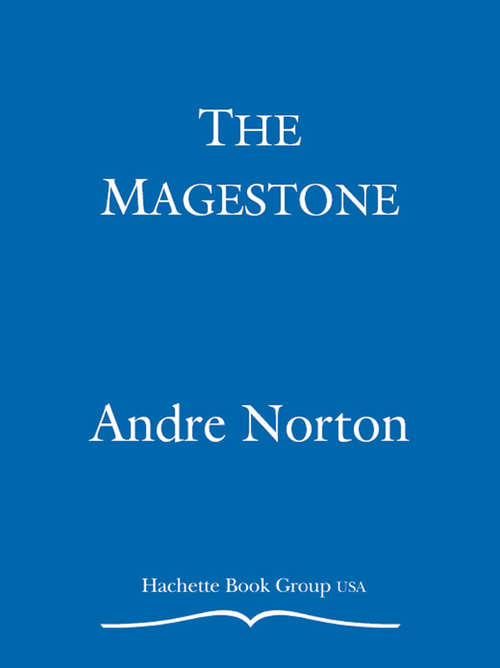 Book cover of The Magestone (Witch World: The Turning #5)