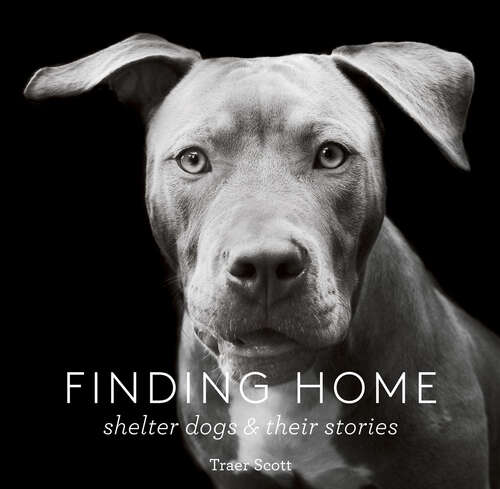 Book cover of Finding Home: Shelter Dogs & Their Stories