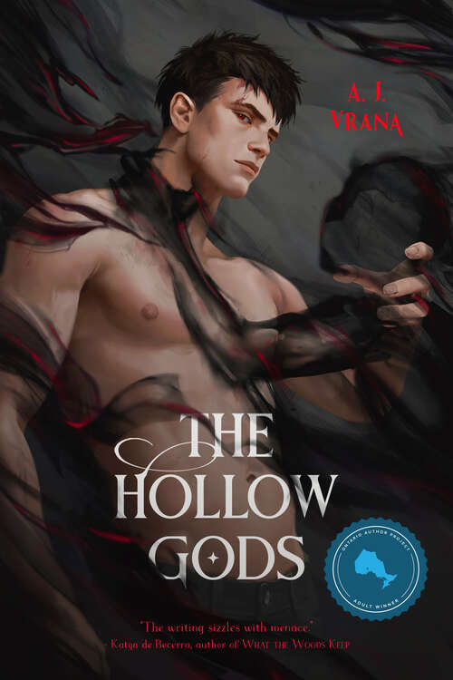 Book cover of The Hollow Gods: The Chaos Cycle Series #1 (The Chaos Cycle #1)