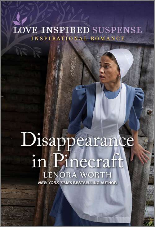 Book cover of Disappearance in Pinecraft (Original)