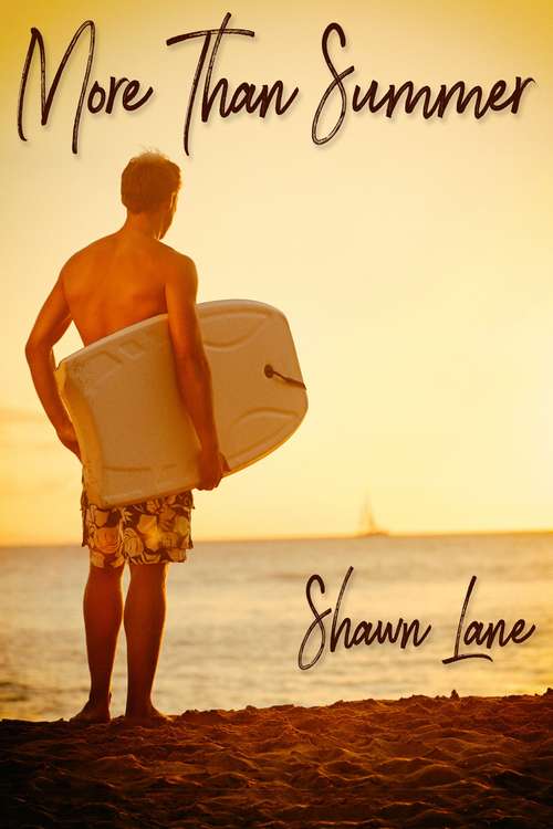 Book cover of More Than Summer