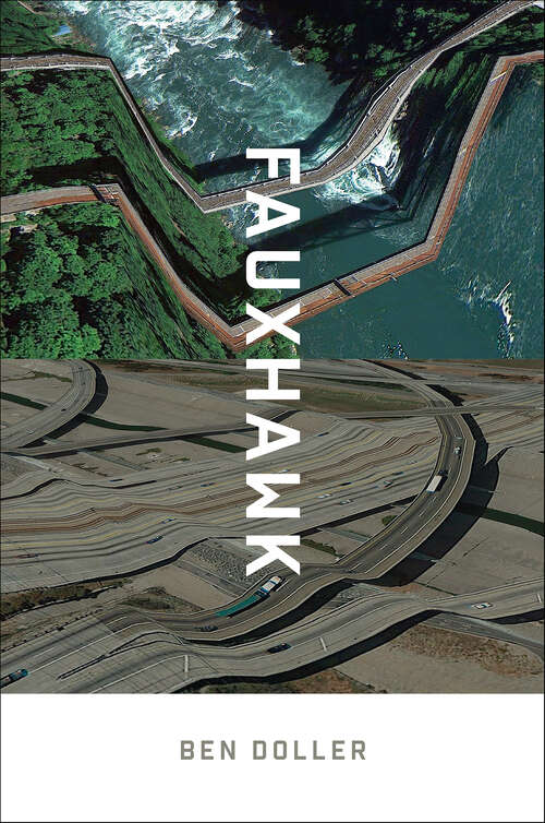 Book cover of Fauxhawk (Wesleyan Poetry Series)
