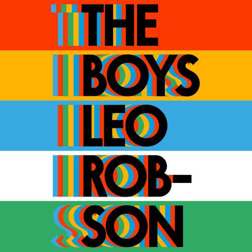 Book cover of The Boys: a fresh and original debut about family, friendship and love