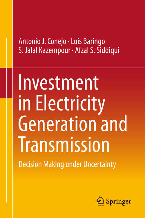 Cover image of Investment in Electricity Generation and Transmission