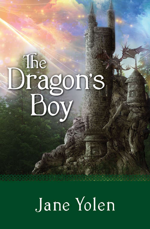 Book cover of The Dragon's Boy