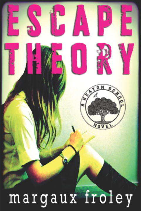 Book cover of Escape Theory