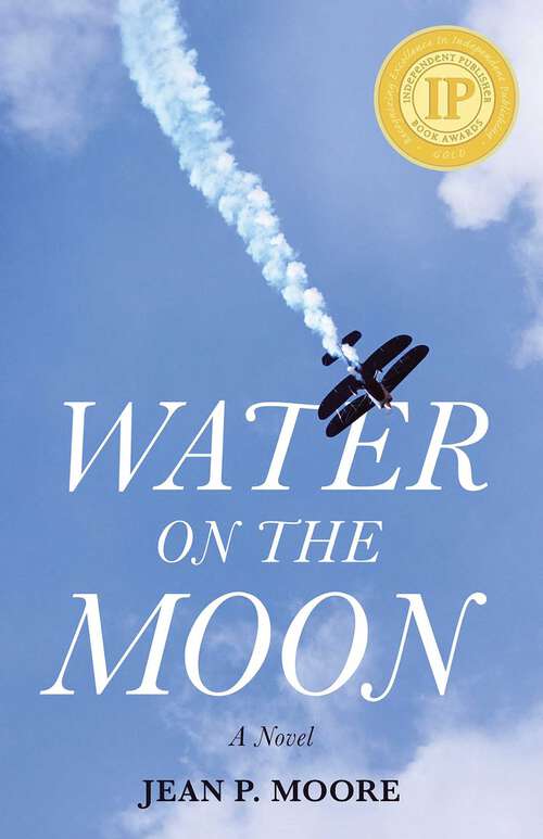 Book cover of Water on the Moon: A Novel