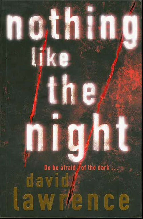 Book cover of Nothing Like the Night (Detective Stella Mooney Novels)
