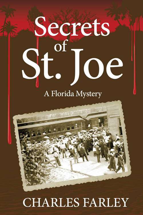 Book cover of Secrets of St. Joe
