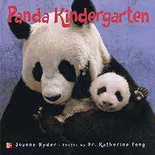 Book cover of Panda Kindergarten (Elementary Core Reading)