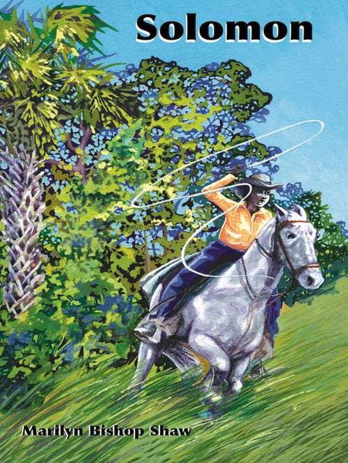 Book cover of Solomon (Florida Historical Fiction for Youth)