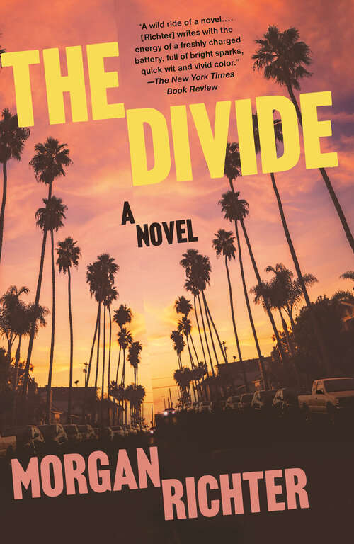 Book cover of The Divide: A novel