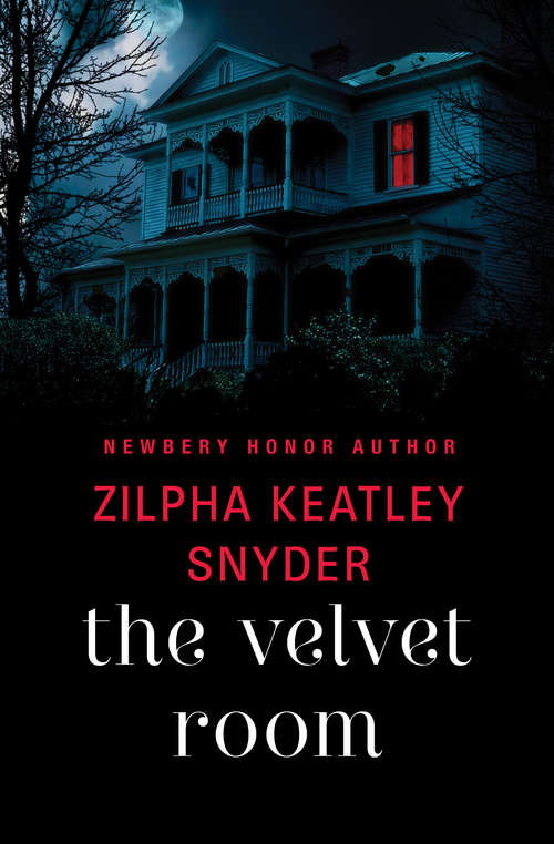Book cover of The Velvet Room