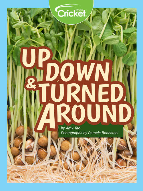 Book cover of Up, Down and Turned Around