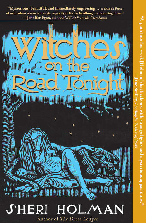 Book cover of The Witches on the Road Tonight